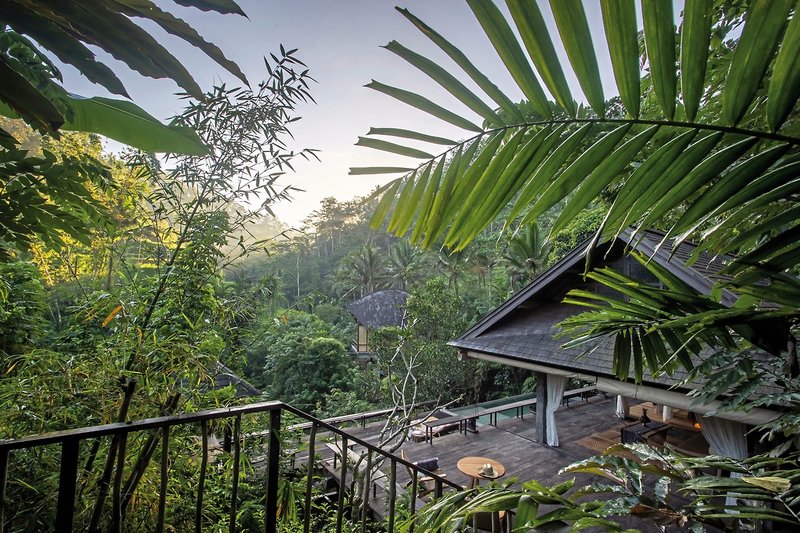 Buahan, A Banyan Tree Escape 20