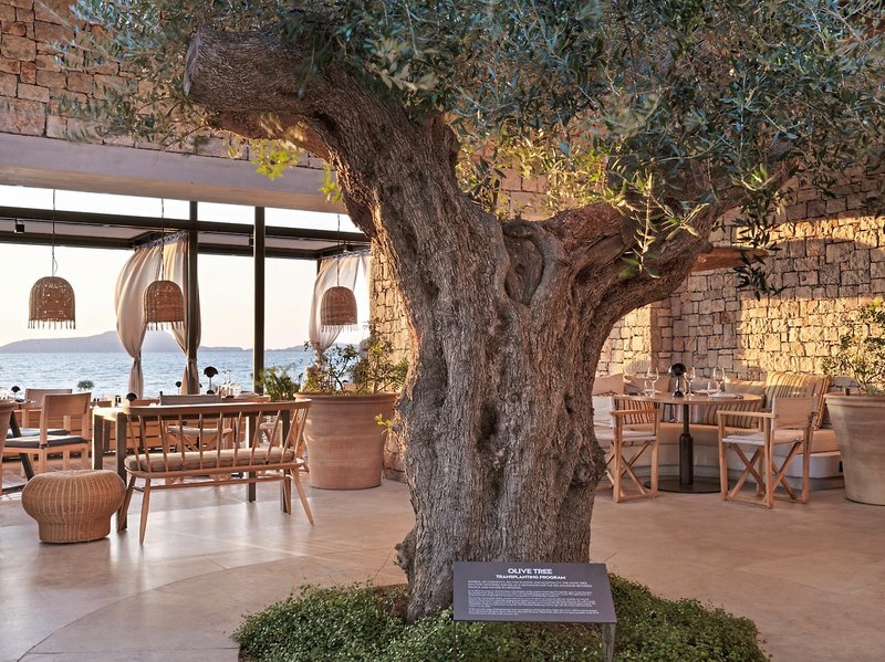 W Costa Navarino 17