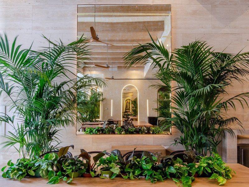 Browns Avenue Hotel 4