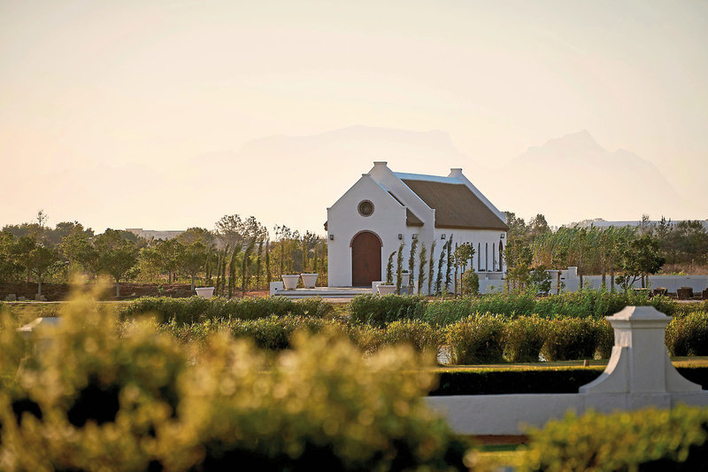 Vergenoegd Löw The Wine Estate 3