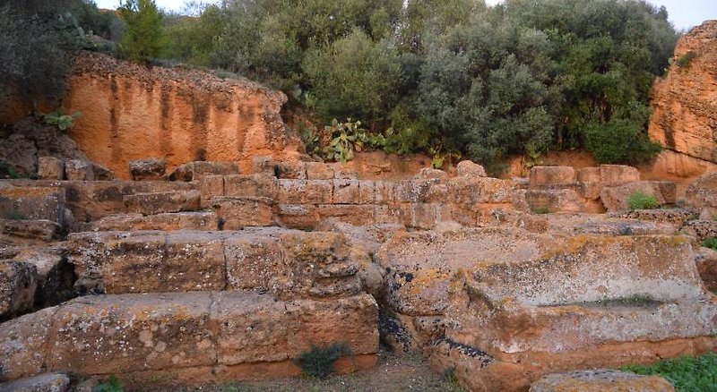 Kolymbetra 5