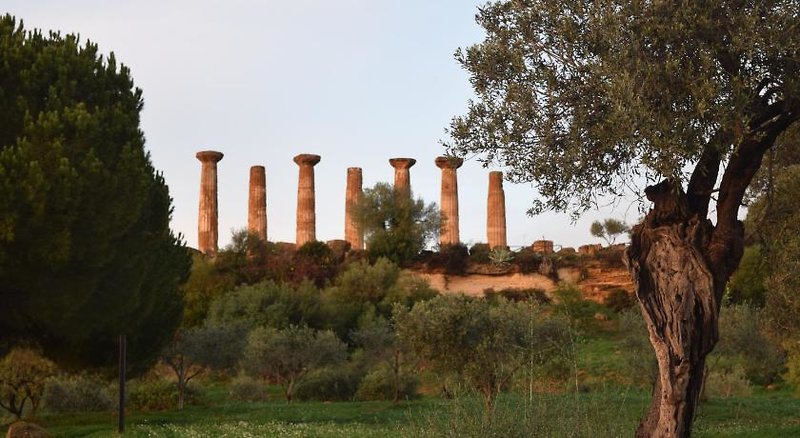 Kolymbetra 11