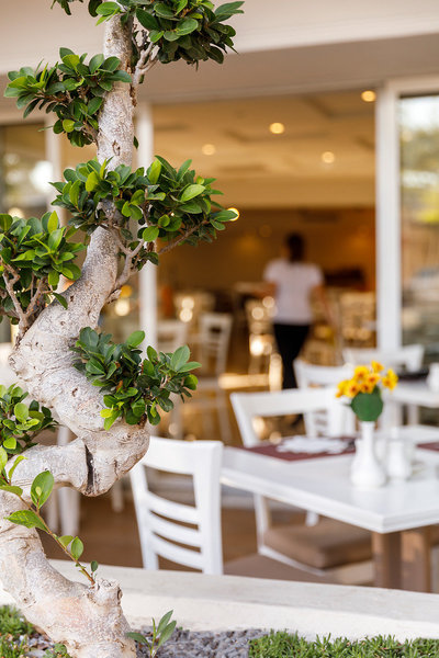 Best Western Plaza Hotel of Rhodes 19