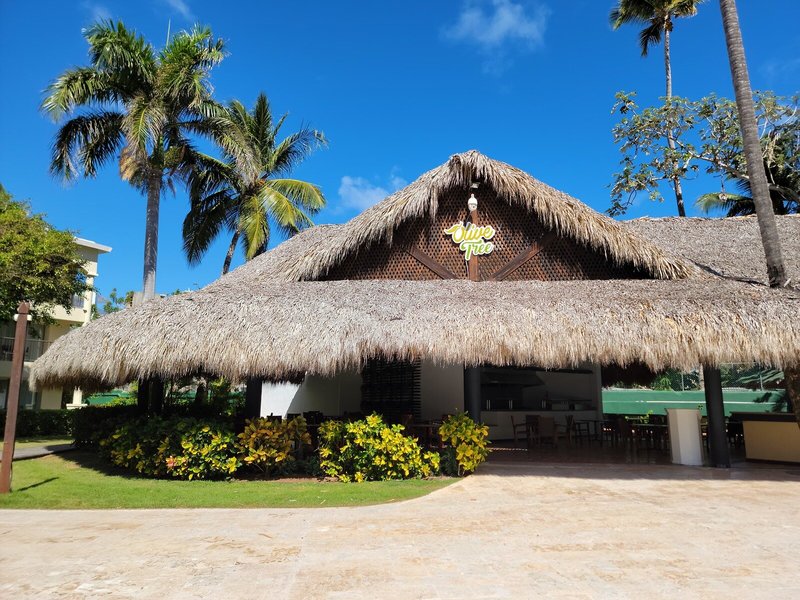 Impressive Premium Punta Cana 39