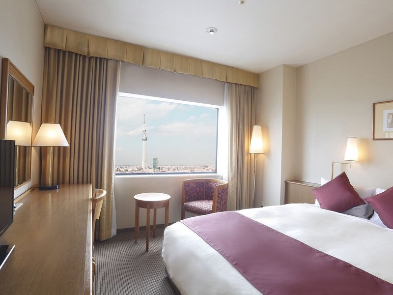 Dai-Ichi Hotel Ryogoku 9 - Room Example