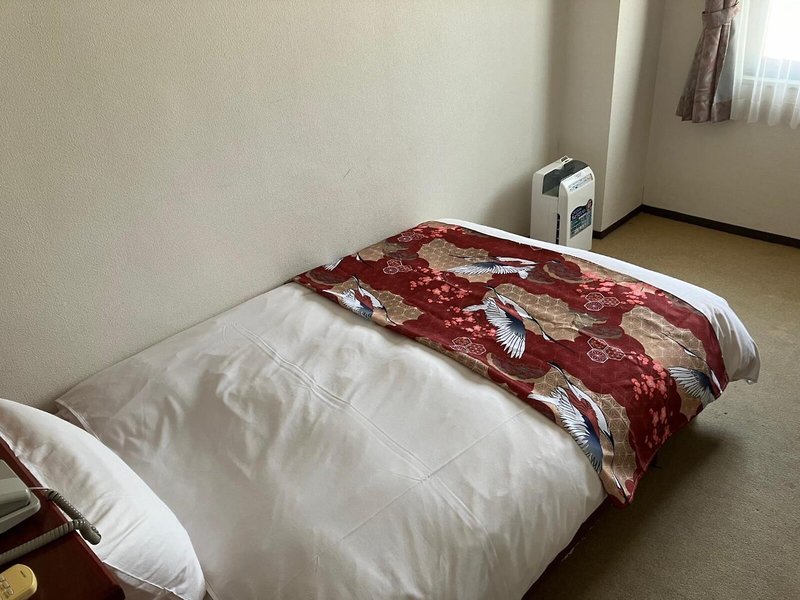 Hotel Sky Court Koiwa 21