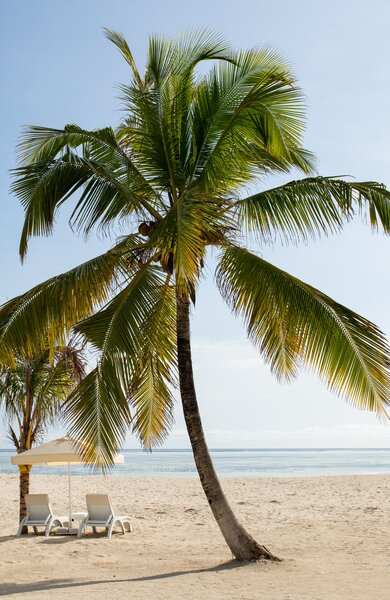 Marijani Beach Resort & Spa 7