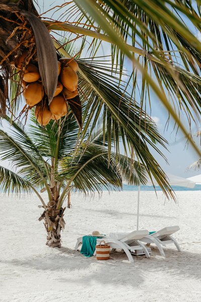 Marijani Beach Resort & Spa 26