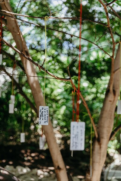 Marijani Beach Resort & Spa 13