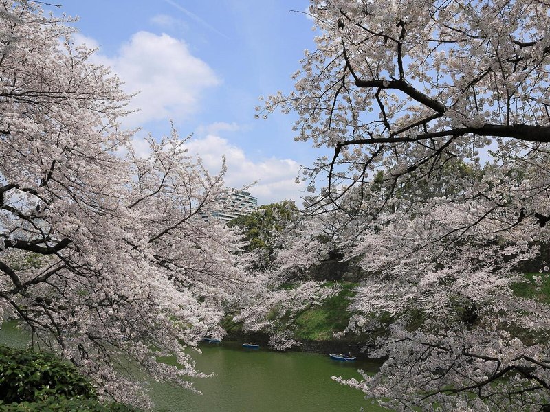 Monterey Akasaka 6