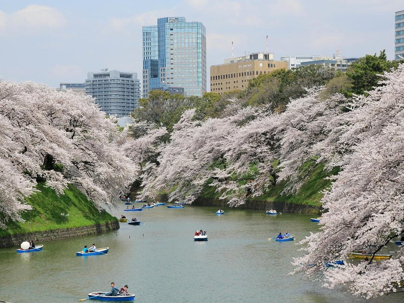 Monterey Akasaka 7