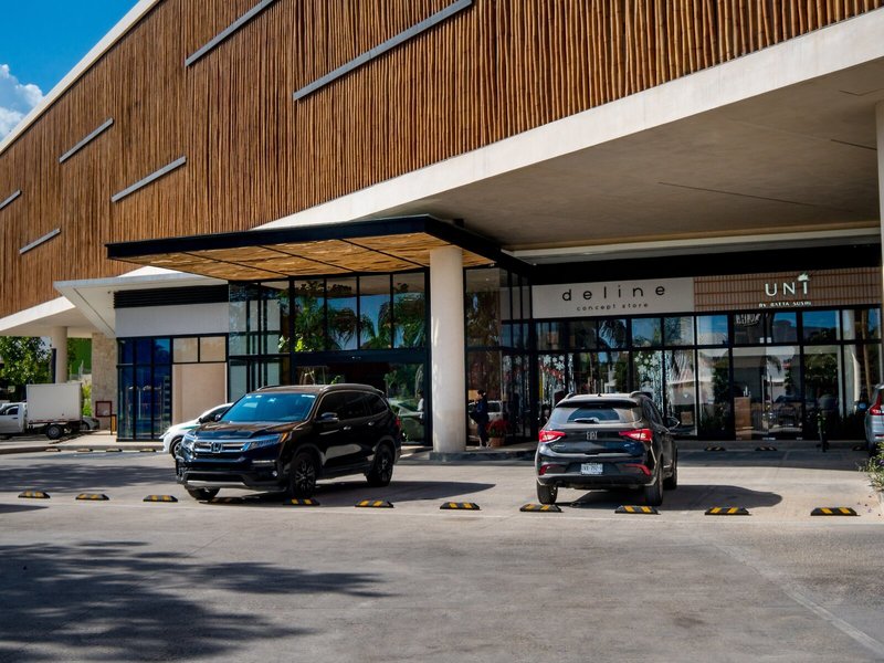 Hive Cancun 5