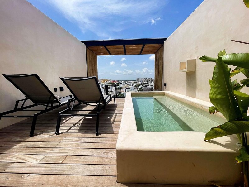 Hive Cancun 11