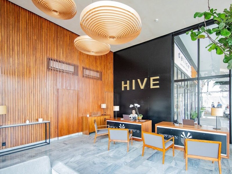 Hive Cancun 19