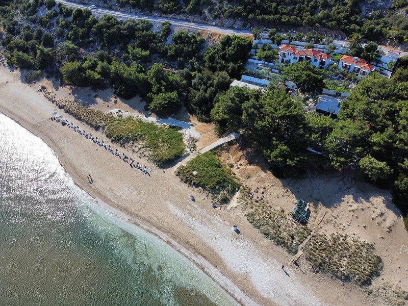 Golden Sand 12
