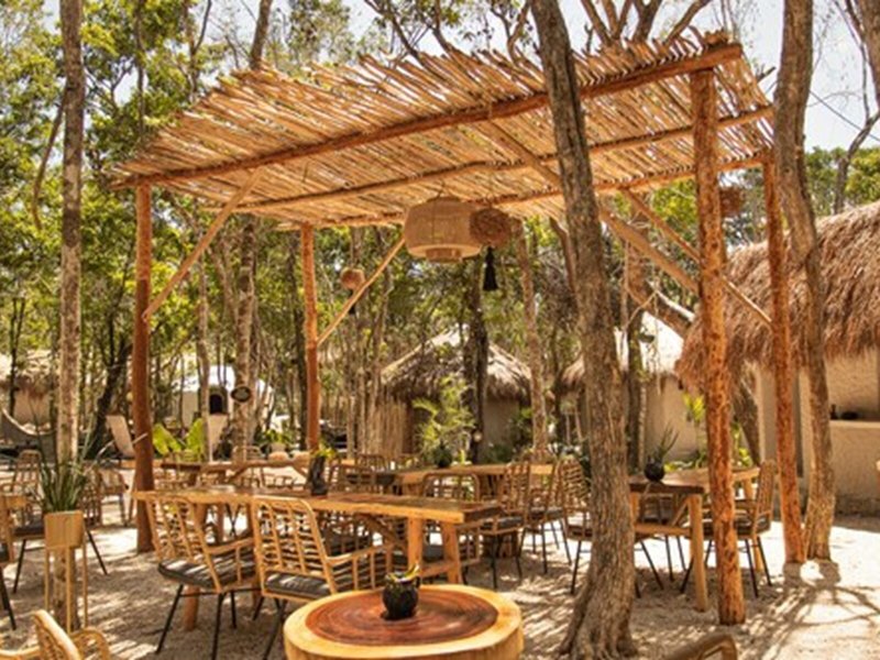 The Yellow Nest 27