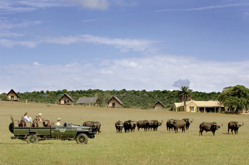 Gorah Elephant Camp 10
