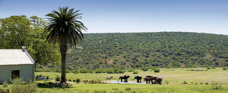 Gorah Elephant Camp 11