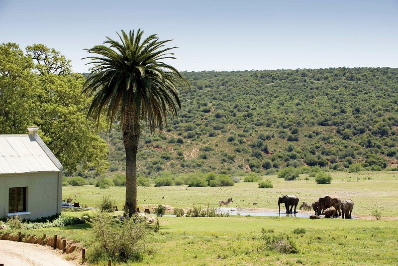 Gorah Elephant Camp 12