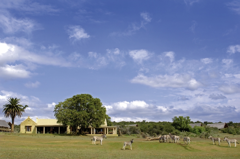 Gorah Elephant Camp 15