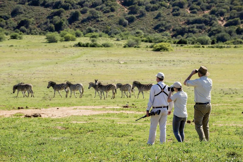 Gorah Elephant Camp 16