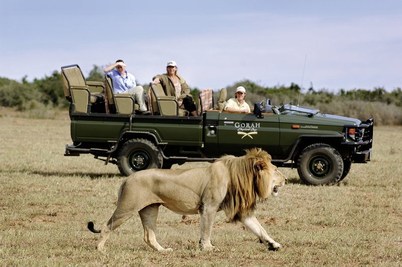 Gorah Elephant Camp 19