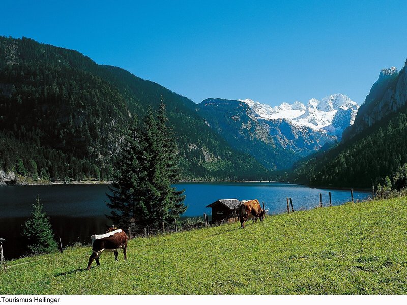 Vitalhotel Gosau 9
