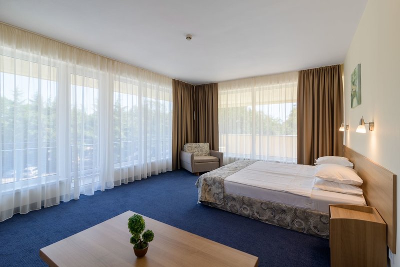 BSA Gradina Hotel 25