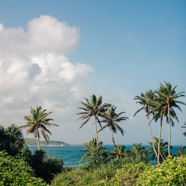 Isolabella Ayurveda Resort 18