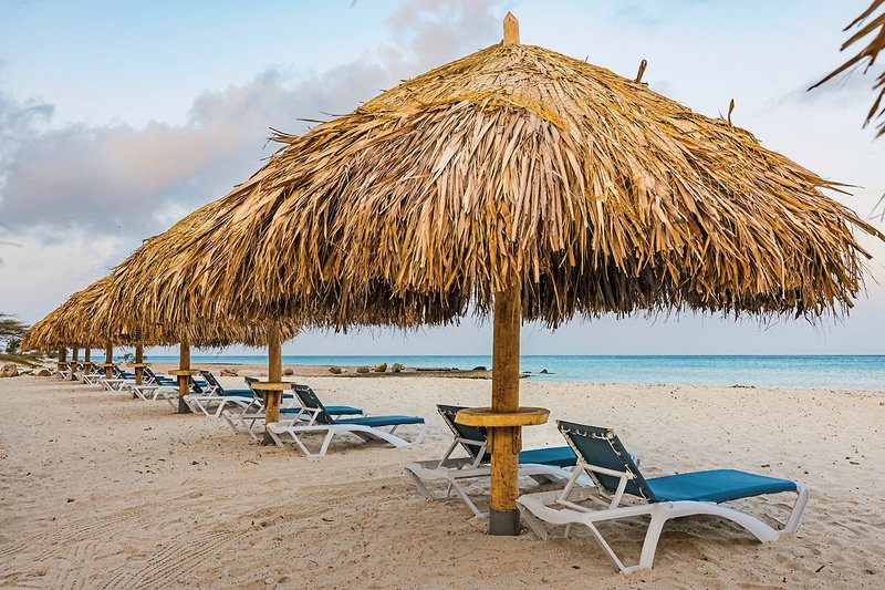 Embassy Suites by Hilton Aruba Resort 24