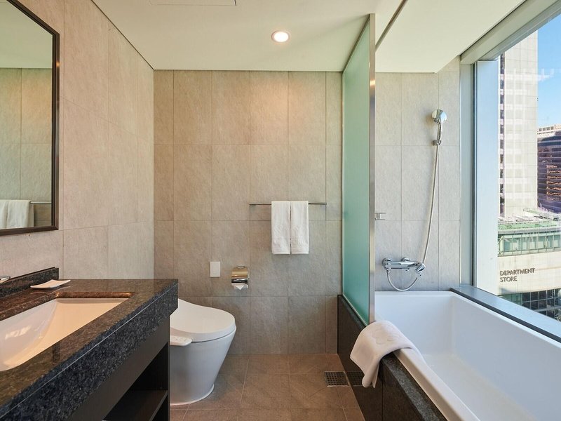 Stanford Hotel Myeongdong 20