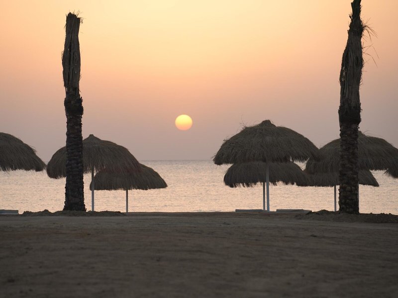 Reef Oasis Suakin Resort Marsa Alam 3