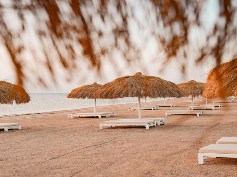 Reef Oasis Suakin Resort Marsa Alam 6