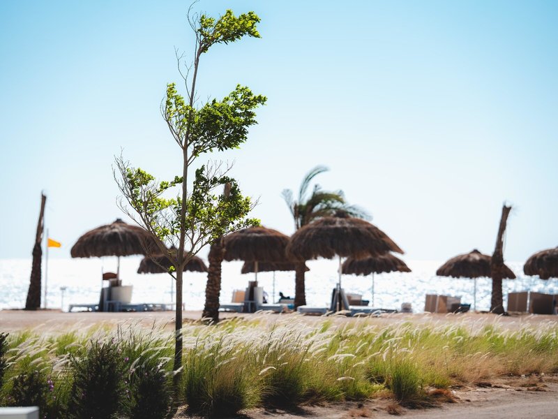 Reef Oasis Suakin Resort Marsa Alam 12