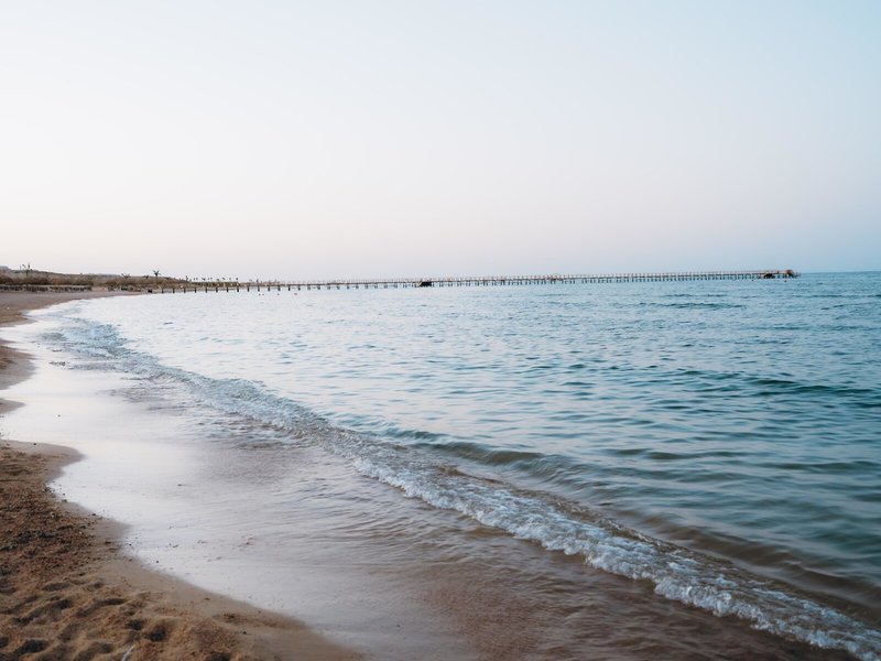 Reef Oasis Suakin Resort Marsa Alam 17