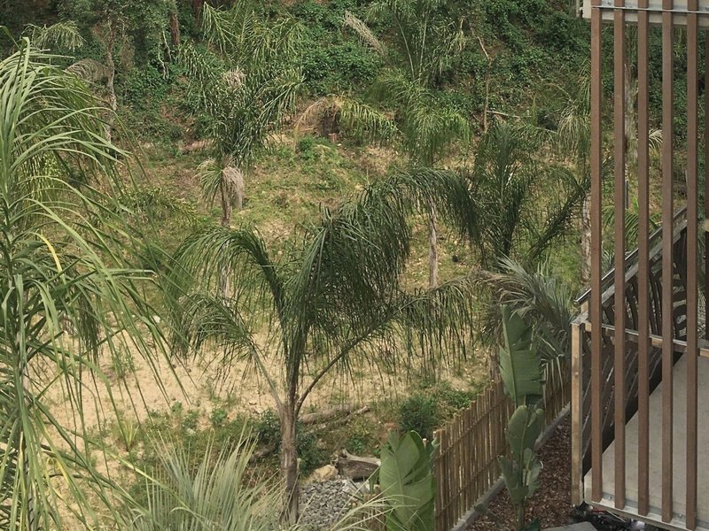 Casa Coco Nature Hotel & Spa 3