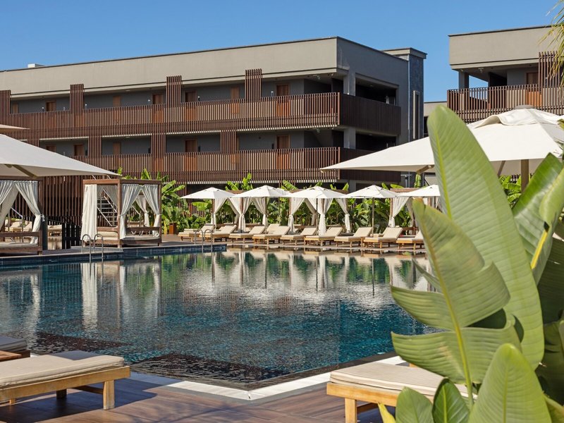 Jacaranda Luxury 19