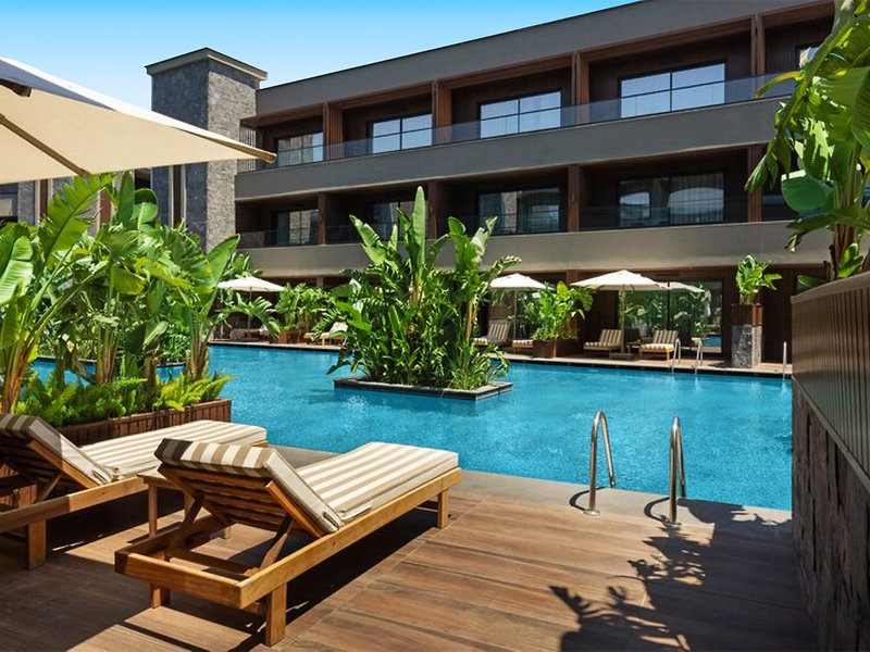 Jacaranda Luxury 5