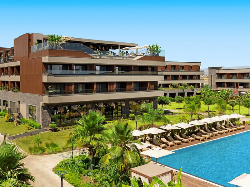 Jacaranda Luxury 12