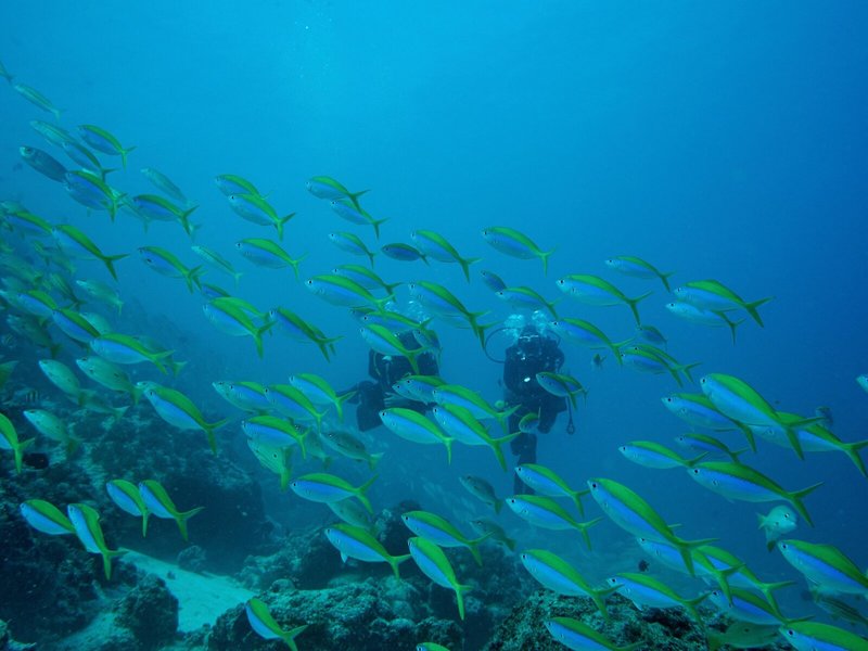 TUI BLUE Bahari 43