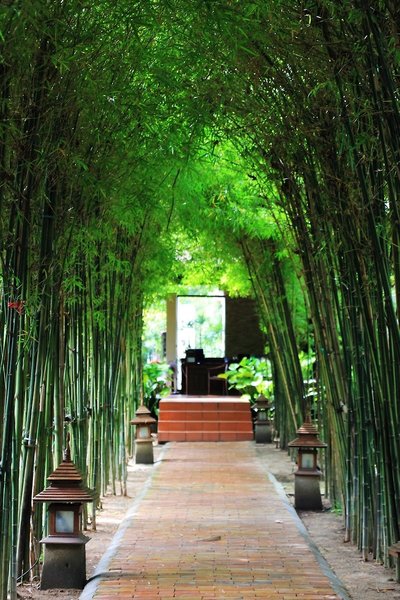 Saree Samui Natures Finest Resort 3