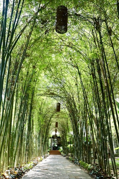 Saree Samui Natures Finest Resort 23