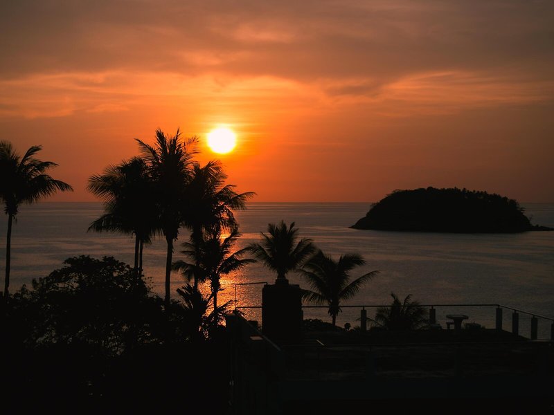 Sugar Palm Grand Hillside 6