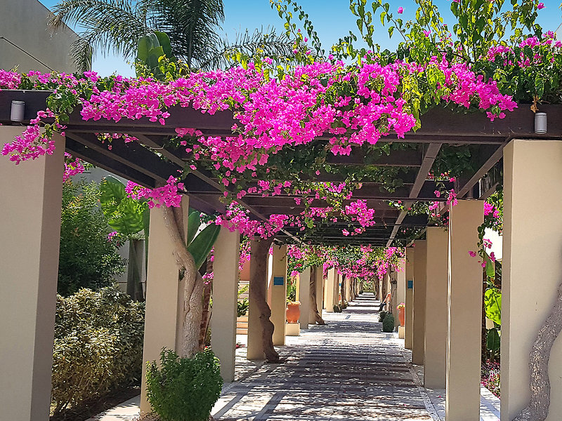 Astir Odysseus Resort & Spa 14