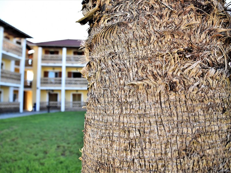 Elpida Hotel 6