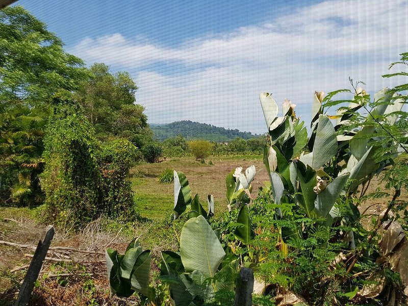 Nestvilla Khok-Kloi Phang-Nga 8