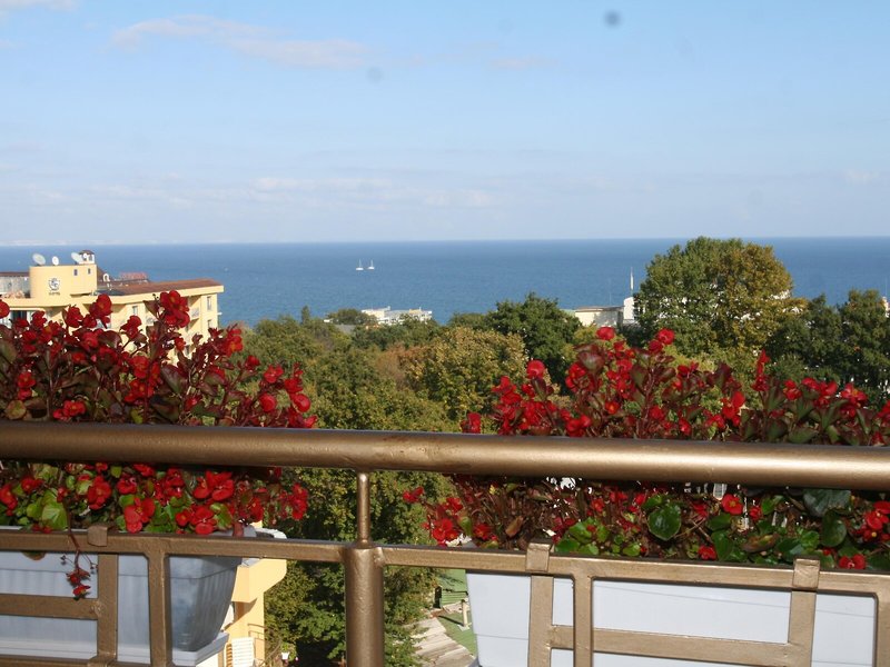 Joya Park Hotel 6