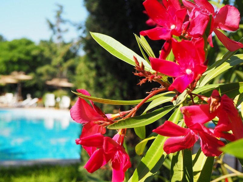 Joya Park Hotel 19