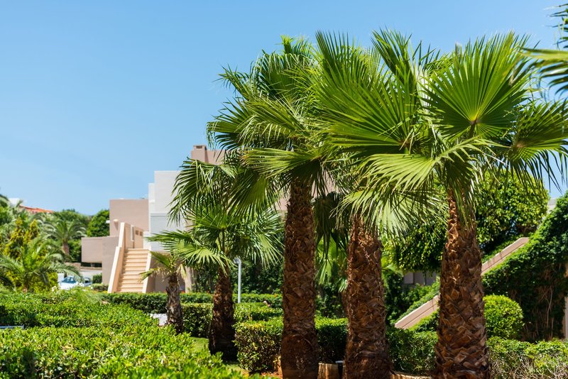 Grand Hotel Holiday Resort 30