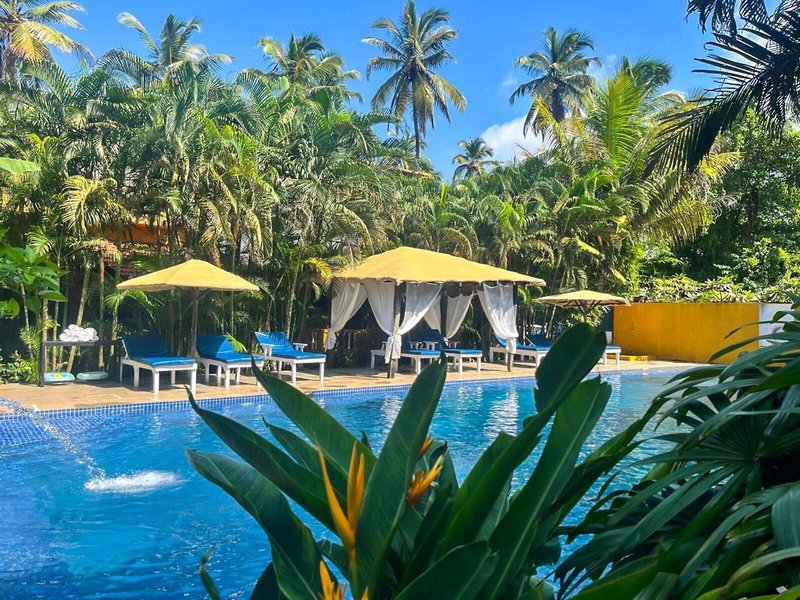 Justa Morjim Beach Resort And Spa 2